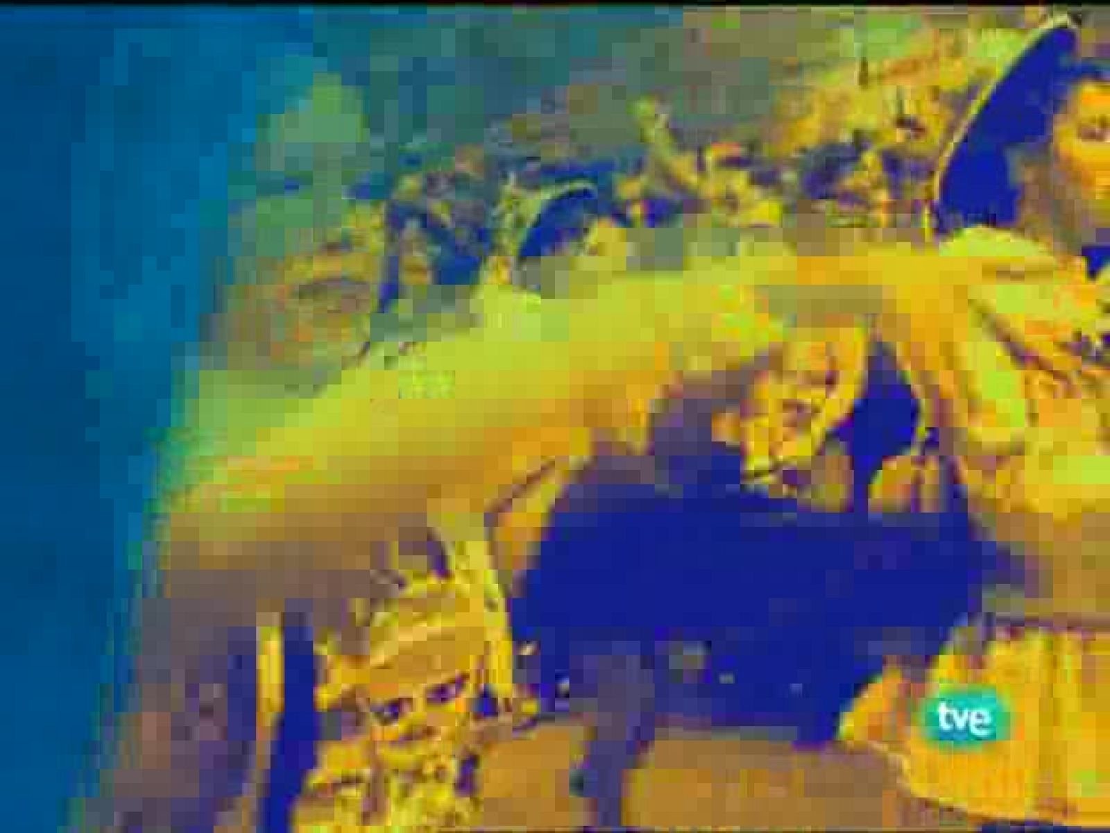 Viva América - La Marcha 2009 - Viva América | Ver