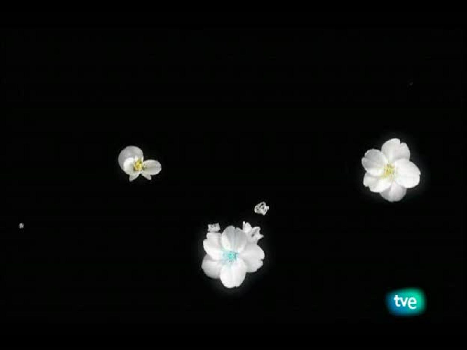 El jardín de los sueños - El Jardín de los Sueños | Ver