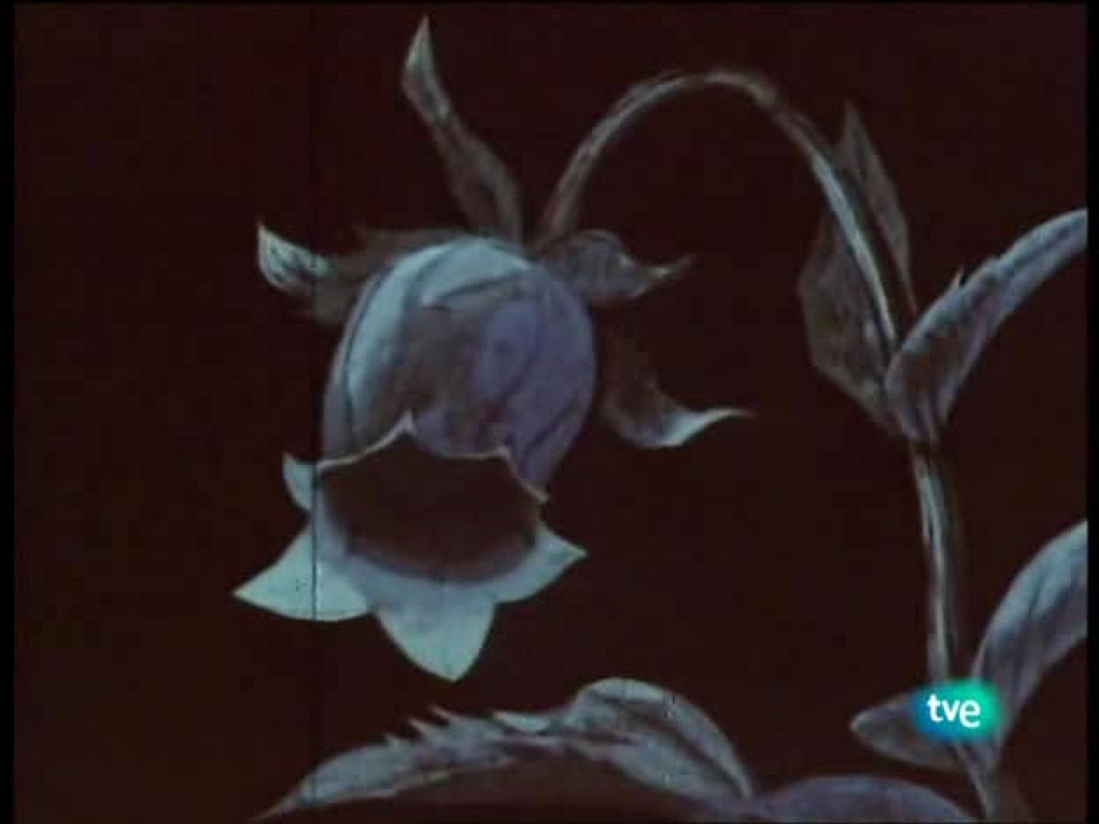 La abeja Maya - La Abeja Maya | Ver