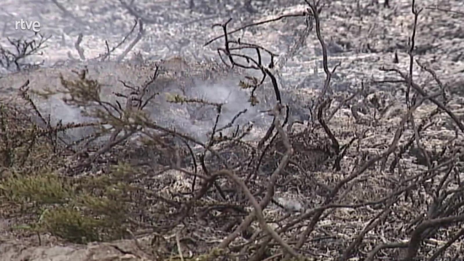 El bosque protector - Desertificación, un problema global - ver ahora