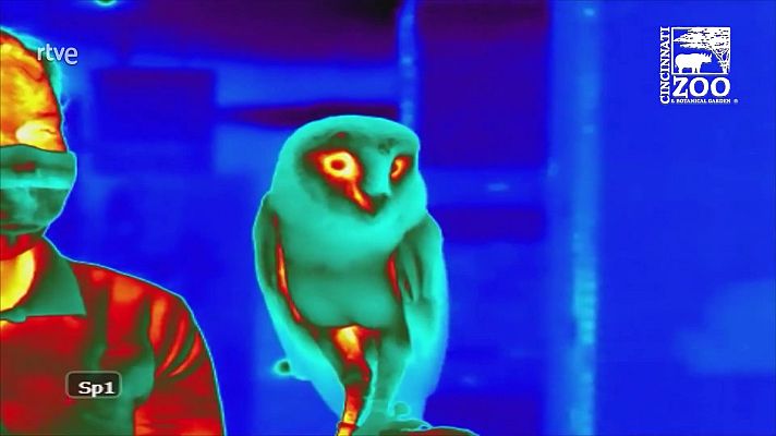 Aquí la Tierra - Aquí la Tierra - 01/08/21