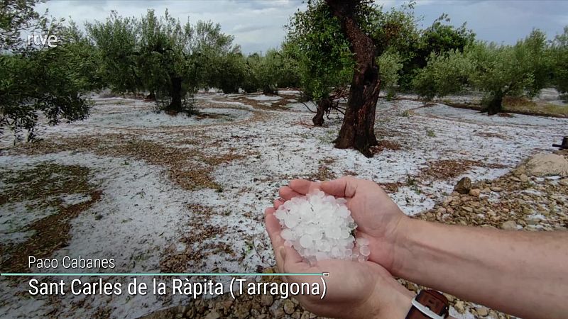Intervalos de viento fuerte en Canarias y de madrugada en el Ampurdán - ver ahora