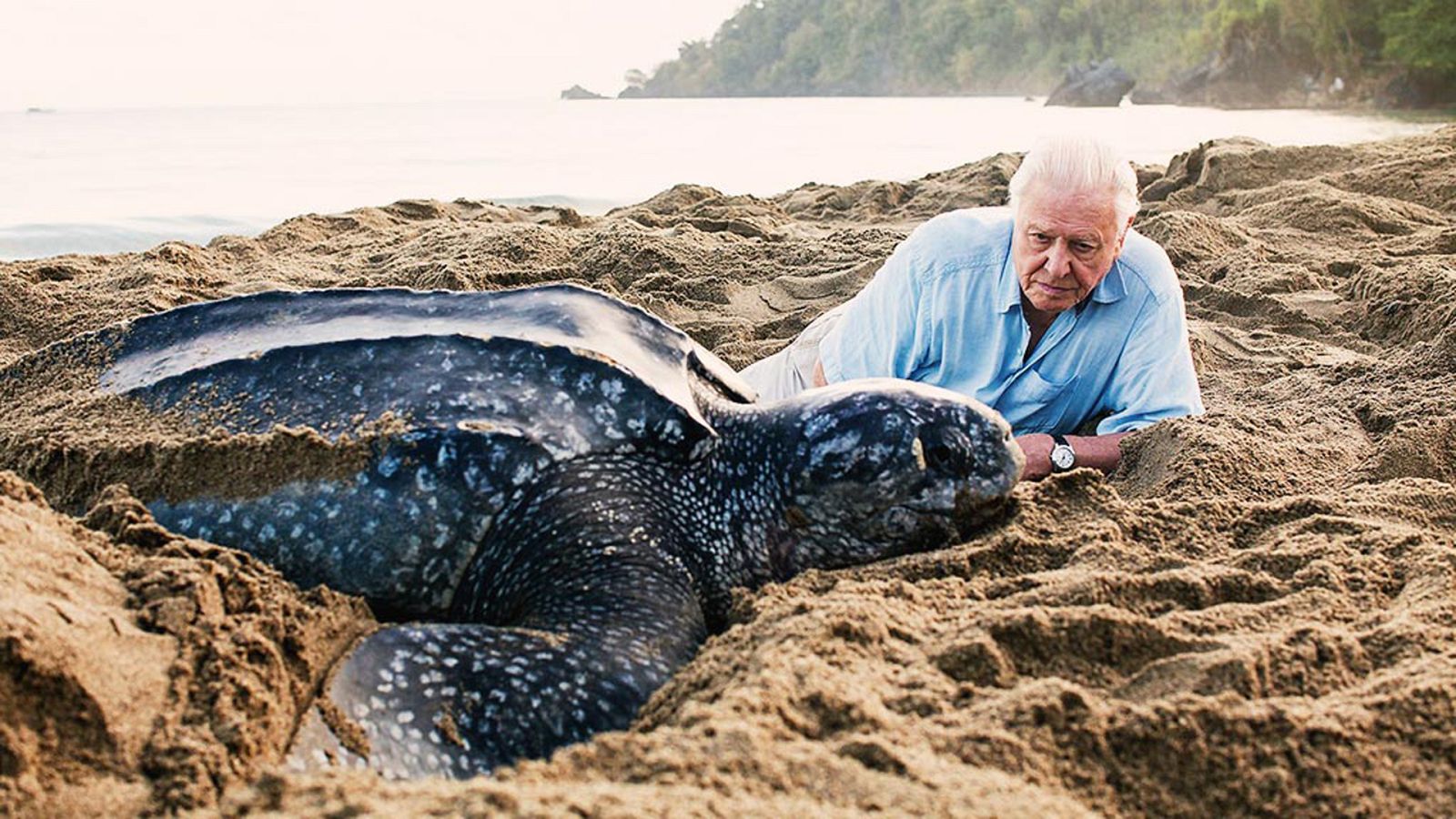 Planeta azul 2 - Episodio 7: Nuestro planeta azul - ver ahora