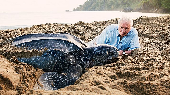 Planeta azul 2 - Nuestro planeta azul