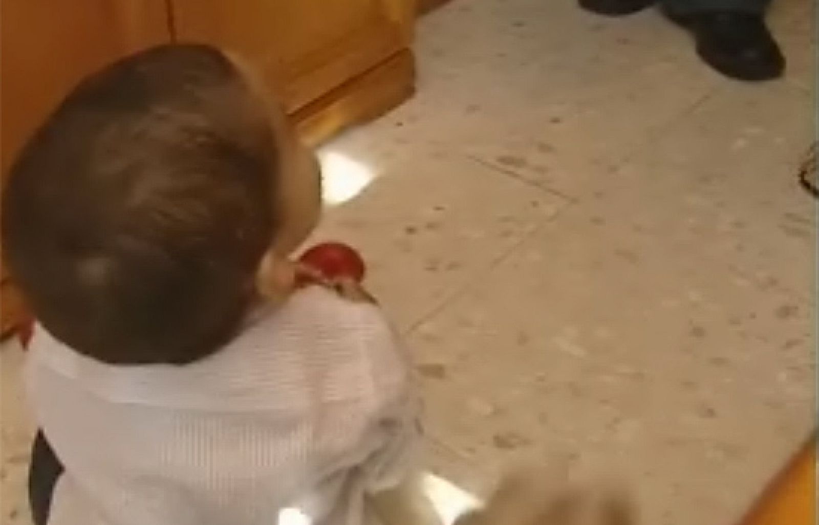 Javier Puertas, el niño al que conocimos como el "bebé medicamento", cumple un año. Fue seleccionado genéticamente para salvar la vida de su hermano a través del trasplante de células del cordón umbilical. Sus padres aseguran que si hubieran hecho c