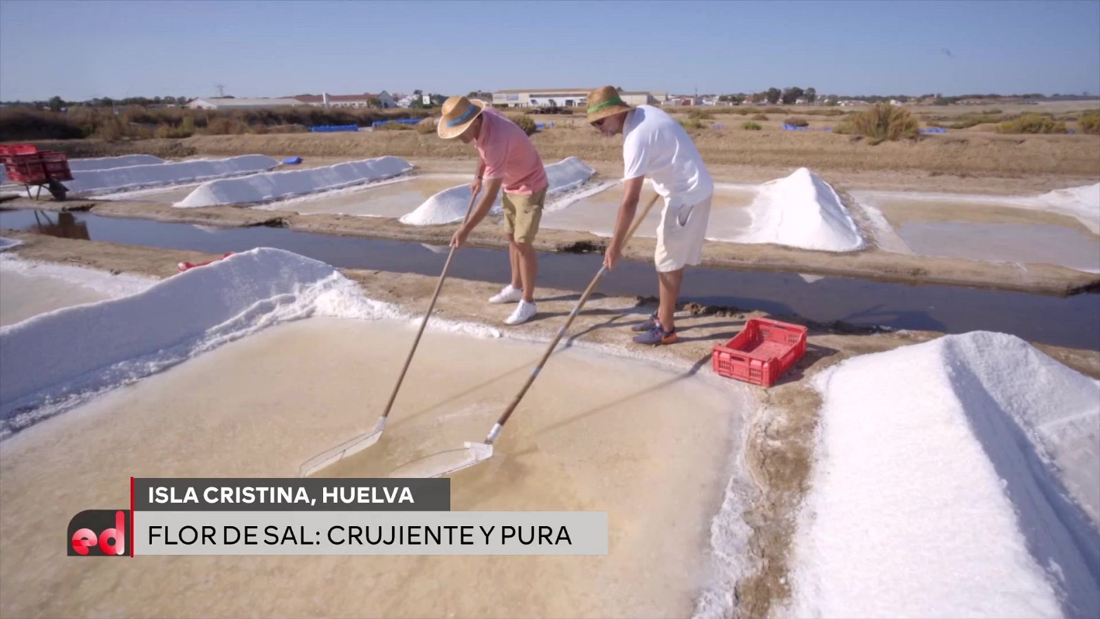 España Directo - 02/08/21 - ver ahora