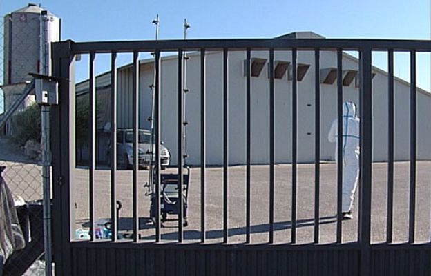 Ciencia y tecnología en Rtve.es - No hay gripe aviar en Guadalajara