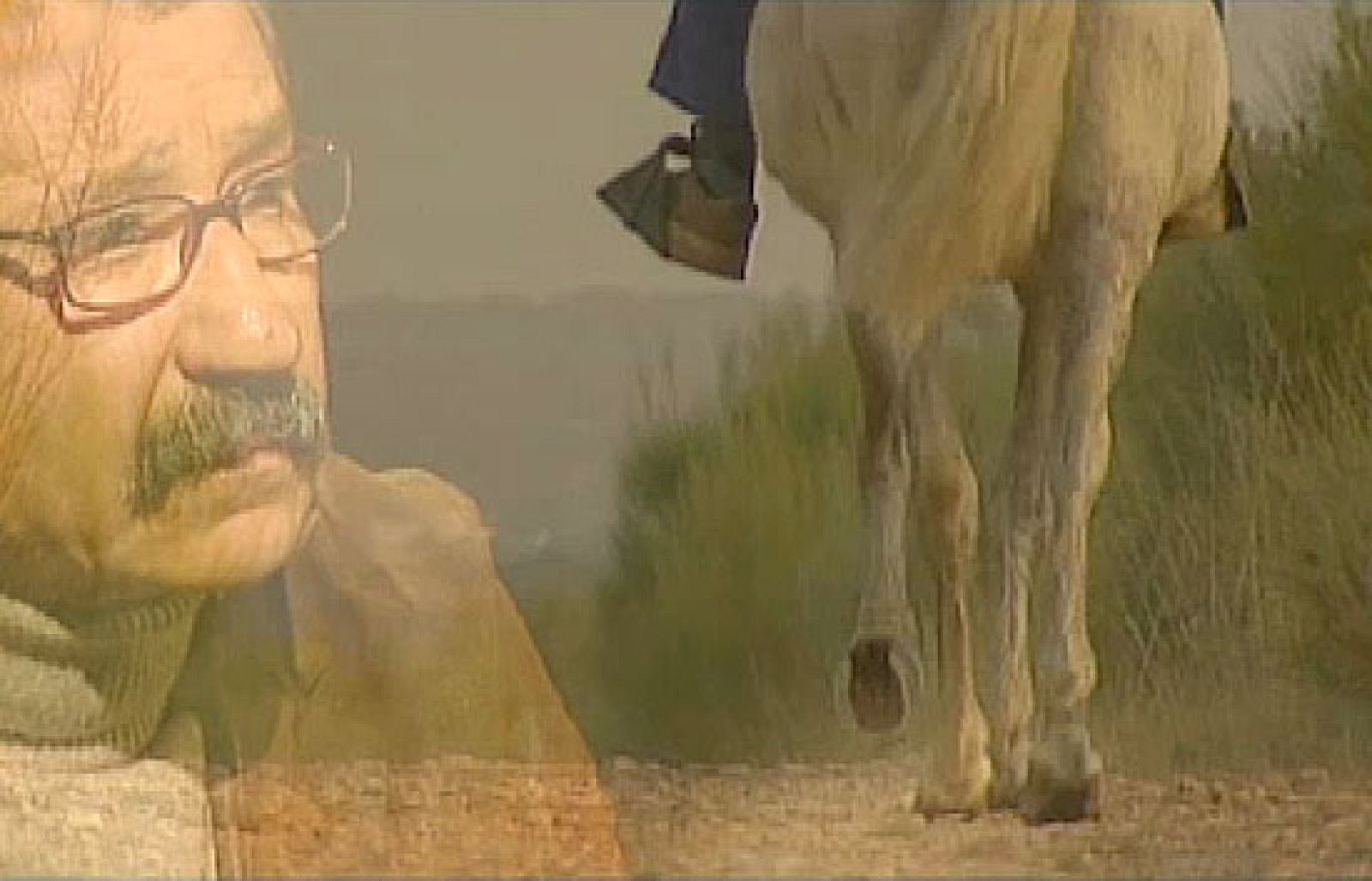 Informe semanal - Los caminos del hidalgo | Ver