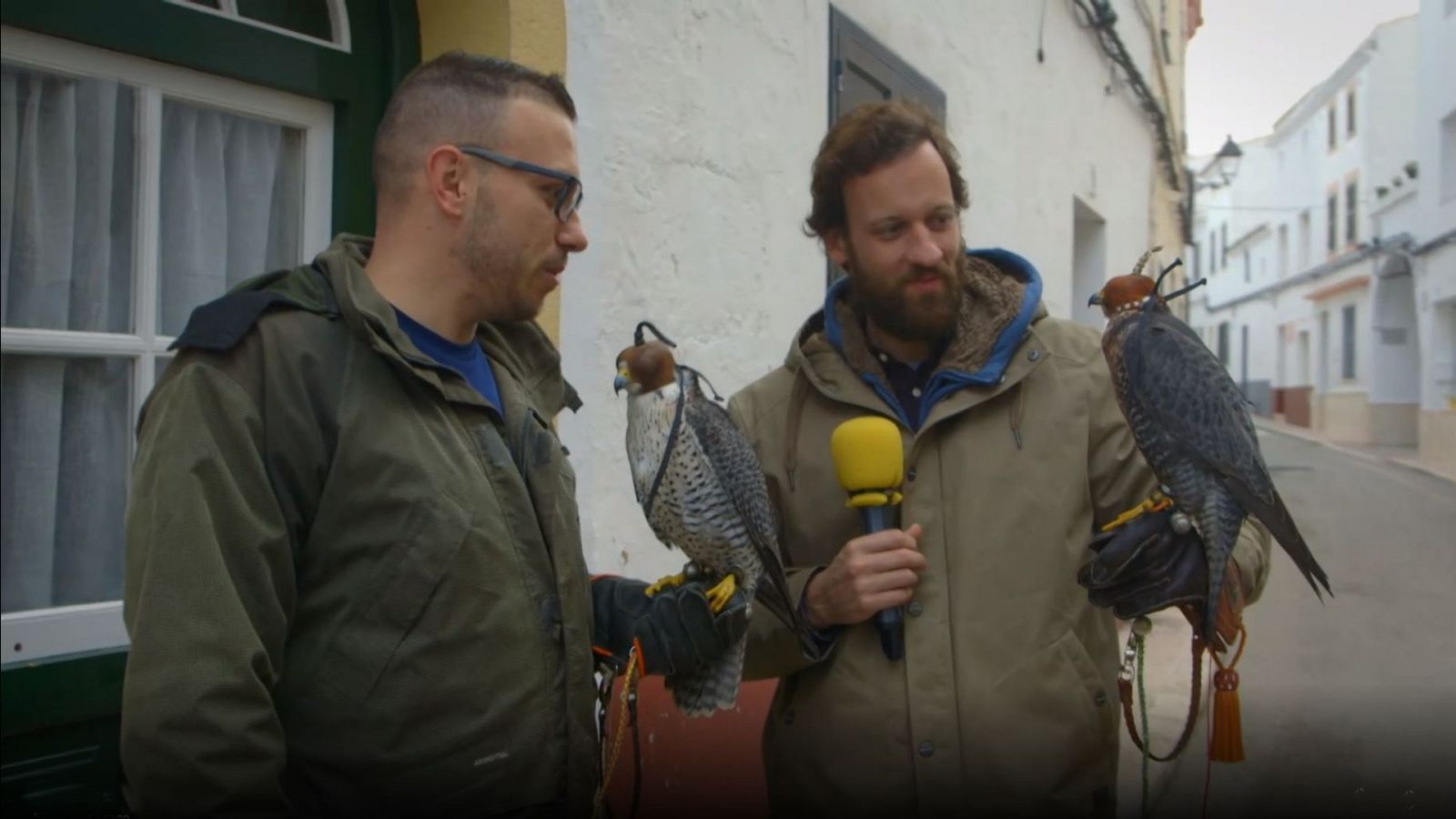 El paisano - Es Migjorn Gran (Menorca) - ver ahora