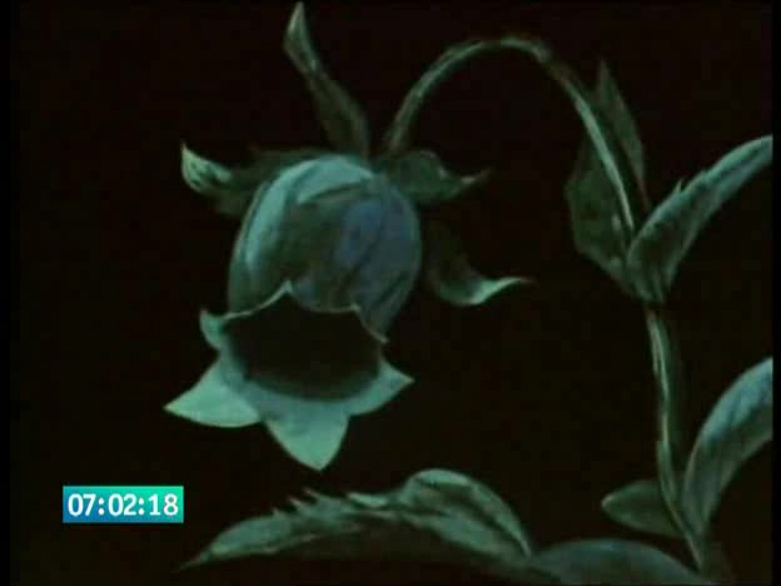 La abeja Maya - La Abeja Maya | Ver