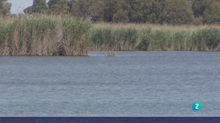 L'Informatiu - L'Informatiu - 03/08/2021