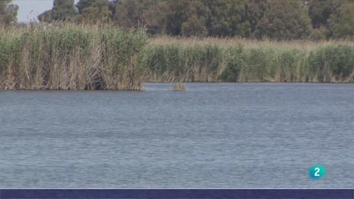 L'Informatiu - Rebuig a l'acord per l'ampliació de l'aeroport del Prat