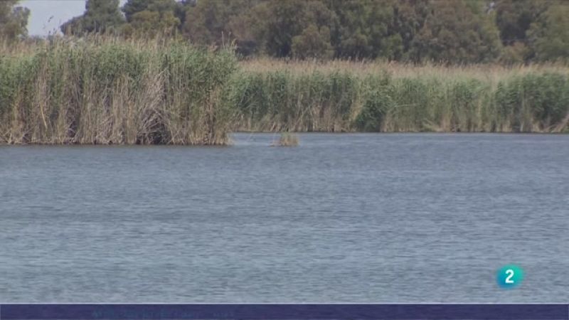 Rebuig a l'acord per l'ampliació de l'aeroport del Prat