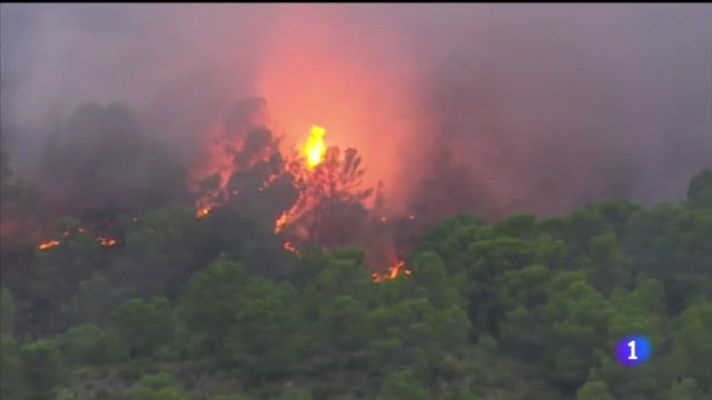 Noticias Murcia - El plan Infomur evita que se produzcan y propaguen incendios