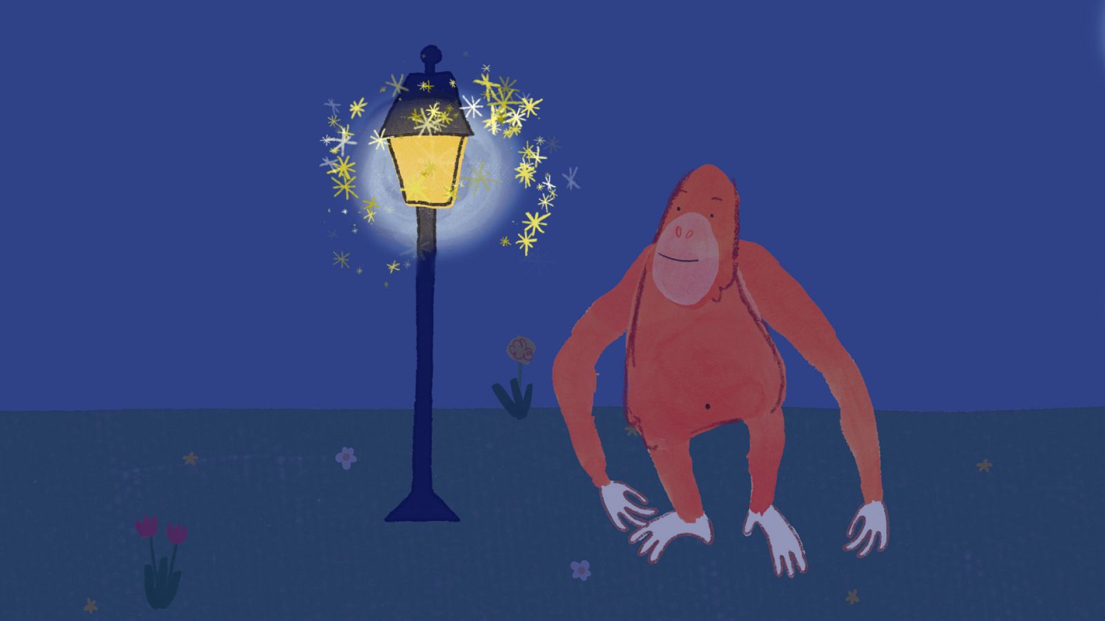 Los destellos - Pablo | Ver