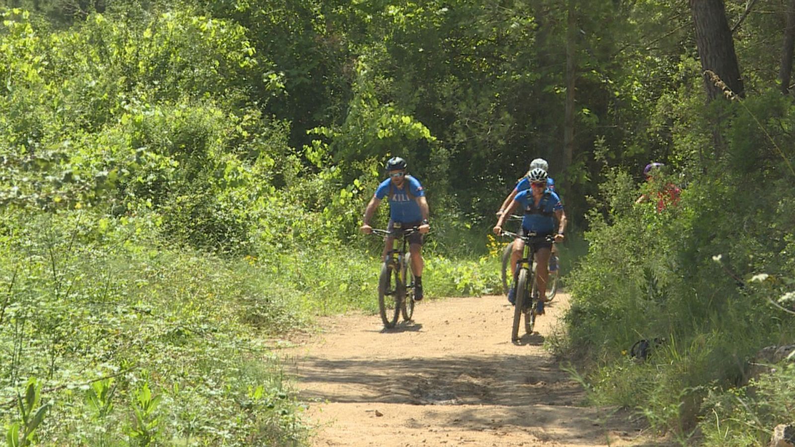 Comando al sol - El sueño del verano - ver ahora