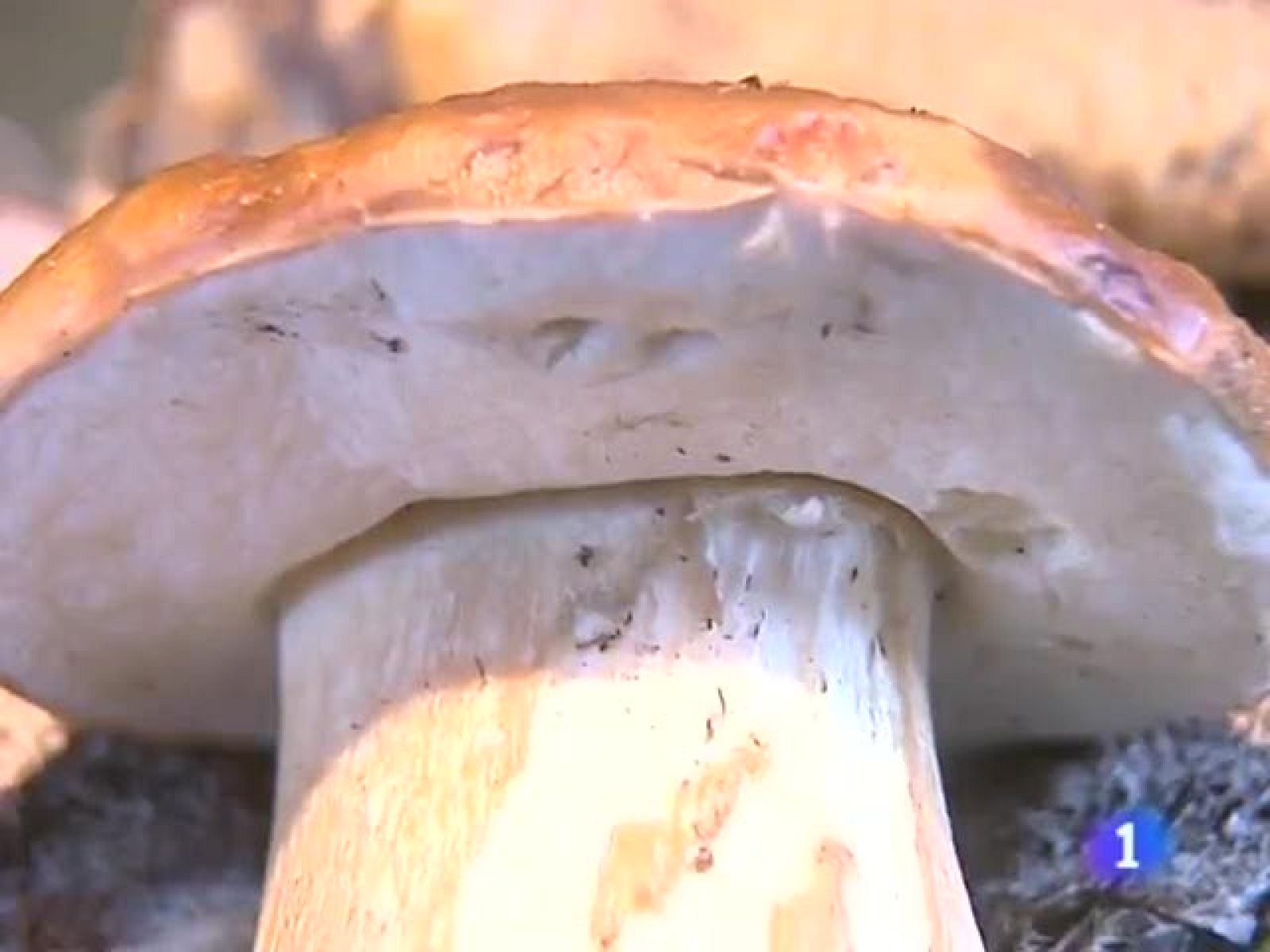 Telecantabria. (13/10/09)