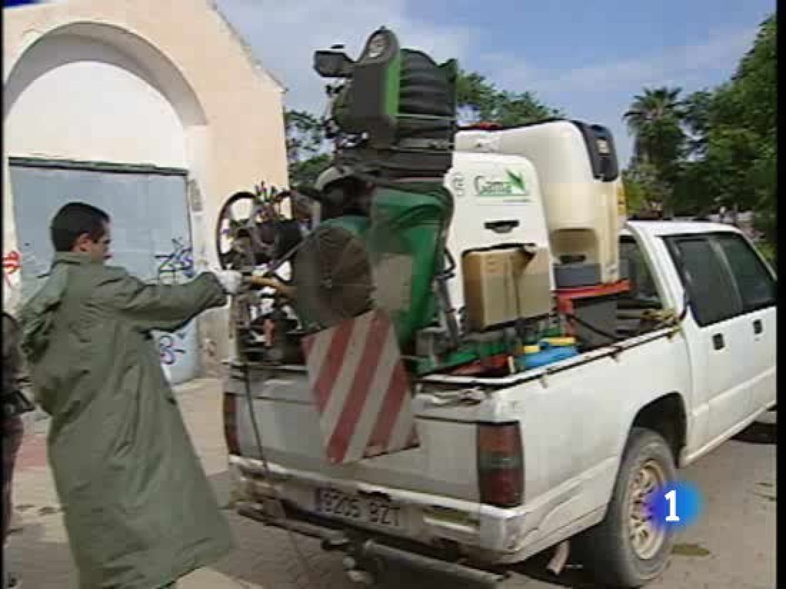 Los mosquitos tigre amargan el puente del Pilar a los vecinos de Torrevieja, en Alicante - Ciencia y tecnología en Rtve.es | Ver