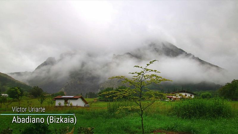 Temperaturas máximas altas en el valle del Guadalquivir e interior del sureste peninsular - ver ahora