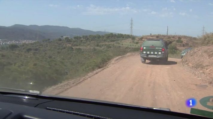 Telediario Fin de Semana - Estudian la zona quemada para saber el origen