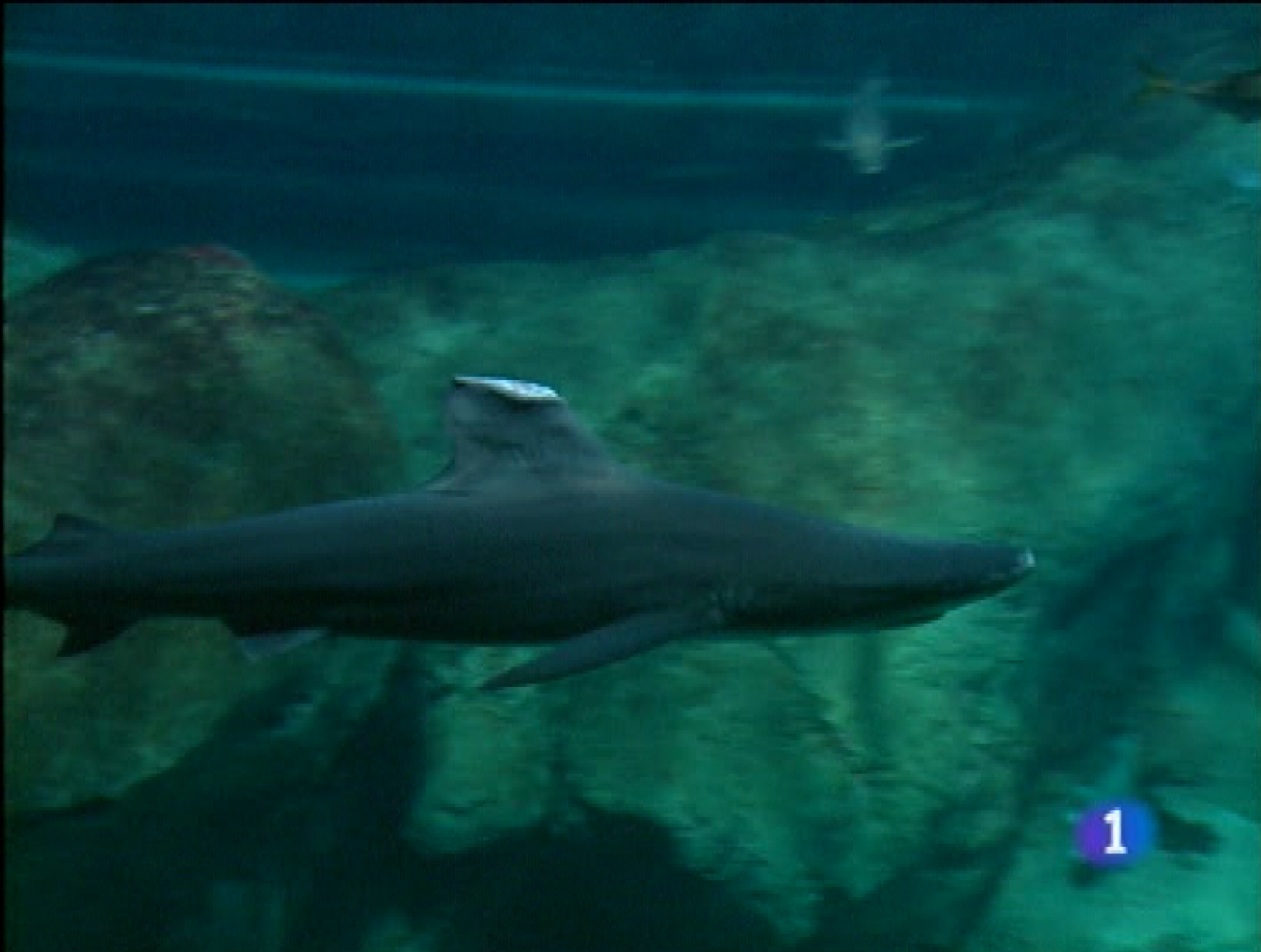 Panorama regional - 14/10/09 - Panorama Regional | Ver