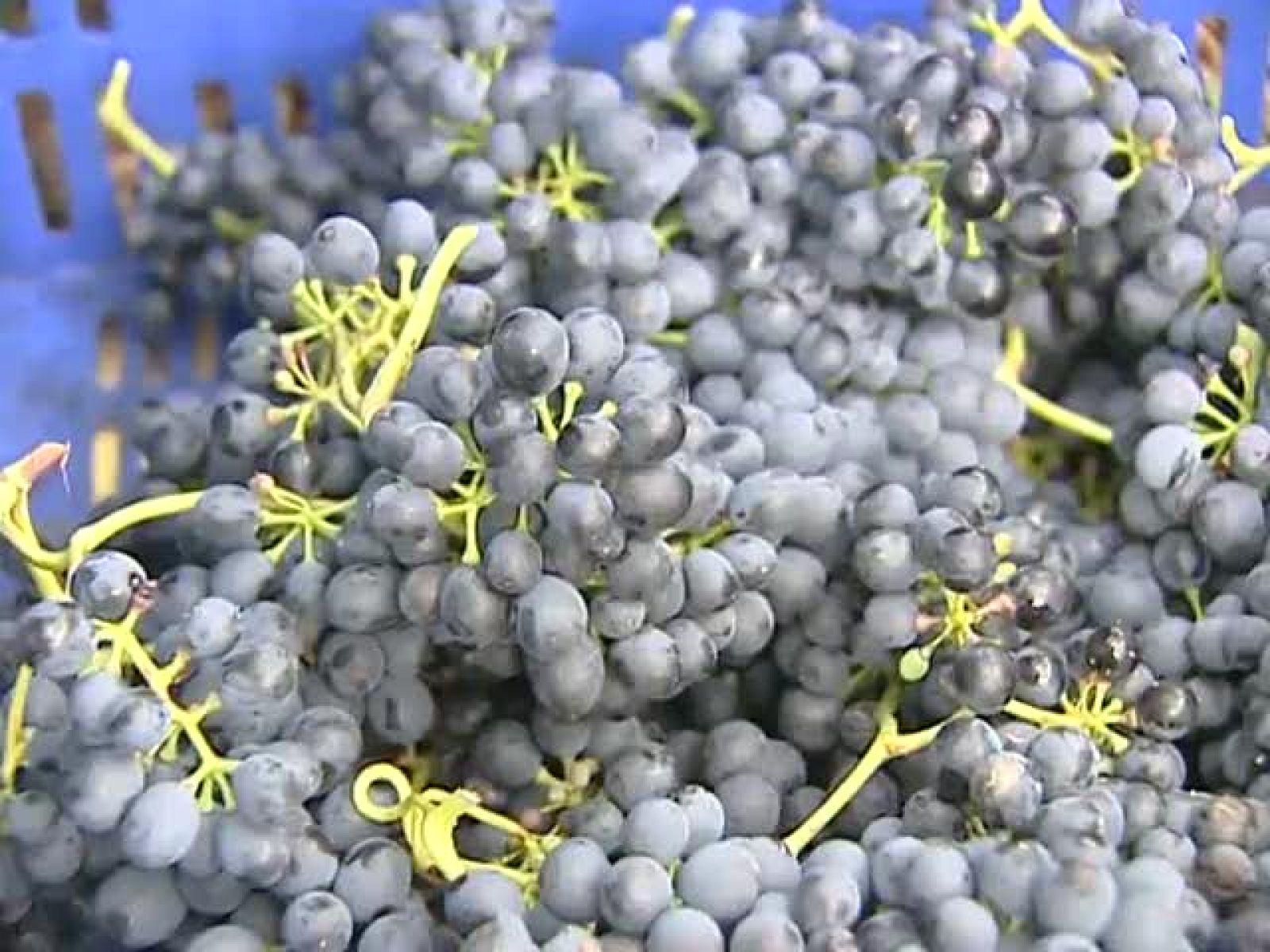 Telecantabria. (14/10/09)