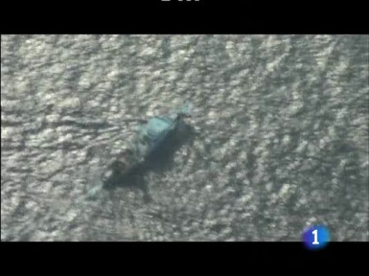  - El secuestro del "Alakrana"