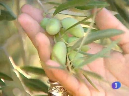 Noticias de Castilla-La Mancha - Noticias de Castilla-La Mancha - 14/10/09