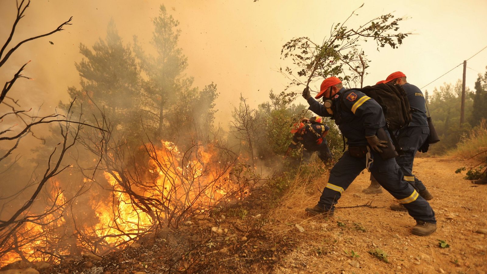 Grecia, Turquía y California luchan contra los incendios forestales