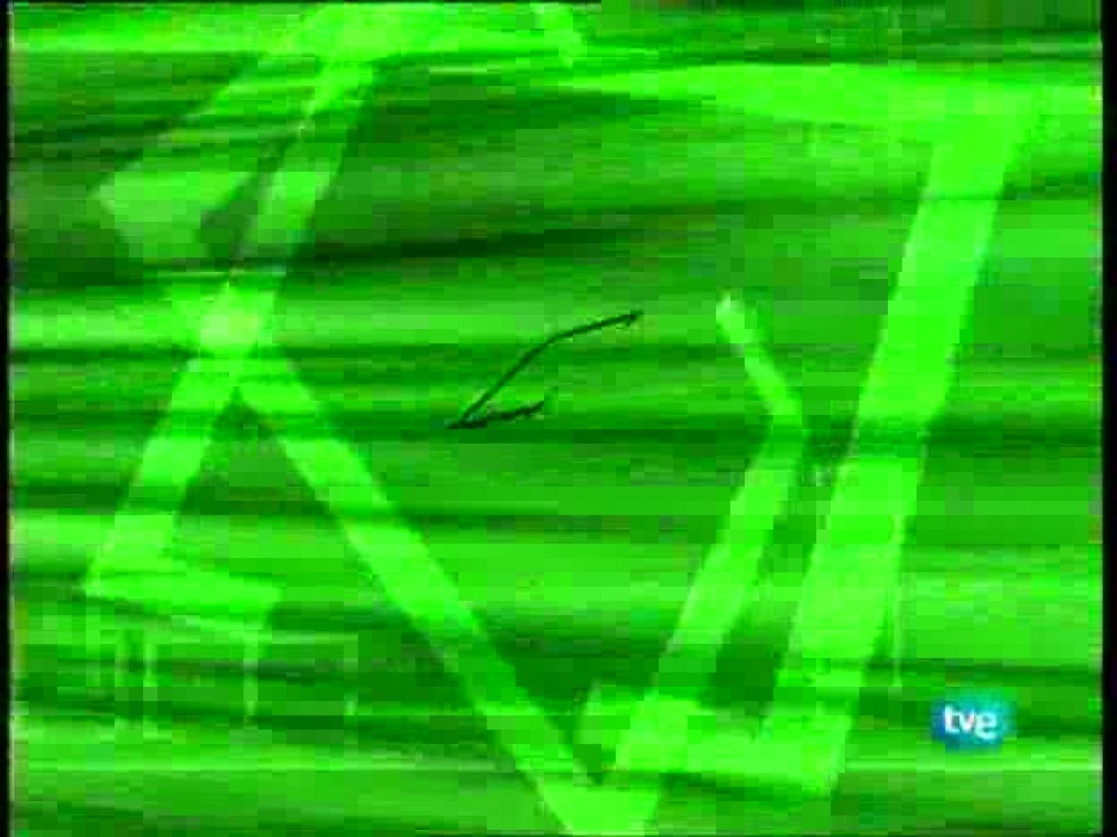 Bonoloto - 14/10/09 - Loterías | Ver