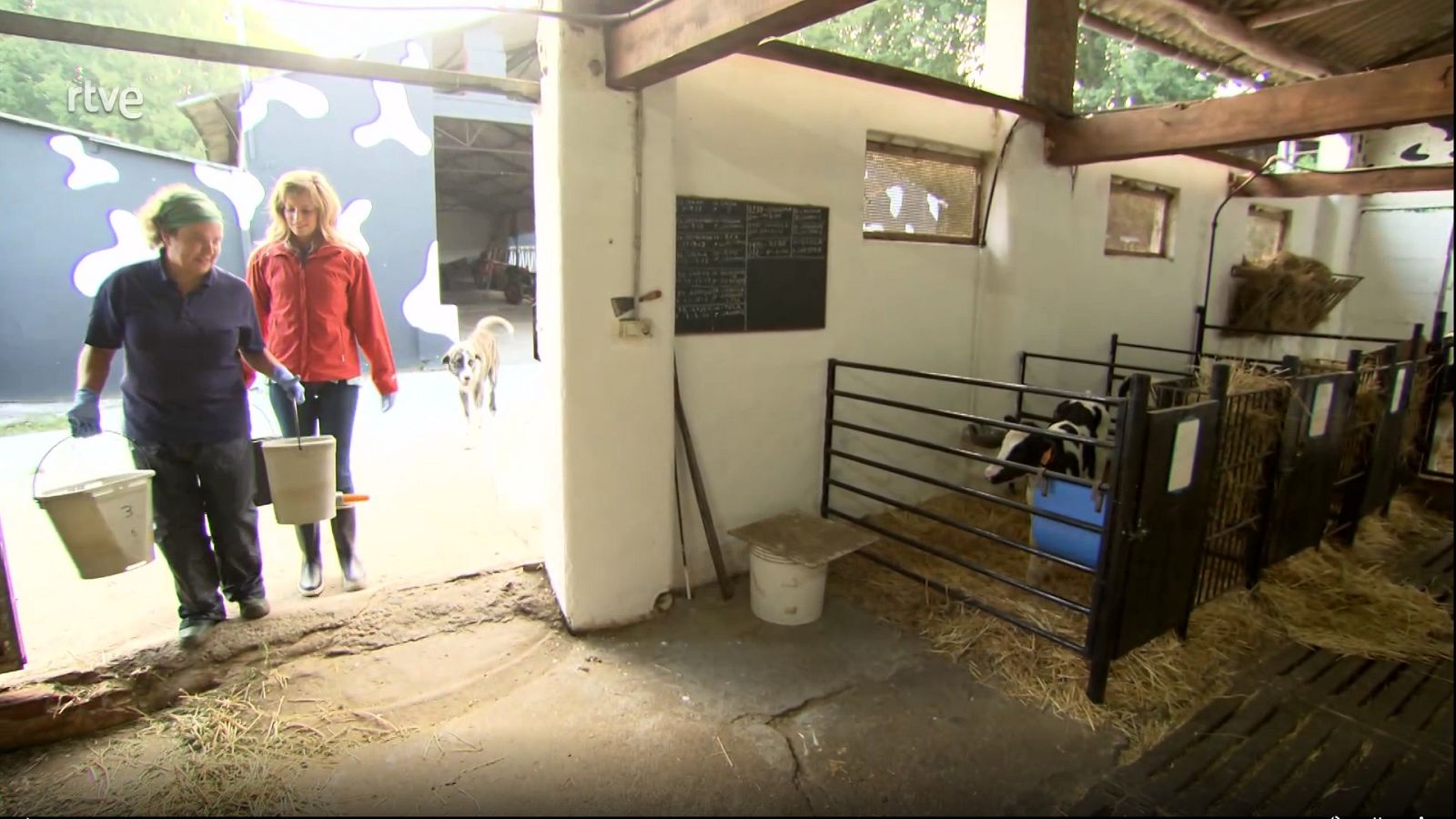 Urbanitas por el campo - Una porteña en el corazón de Galicia - ver ahora