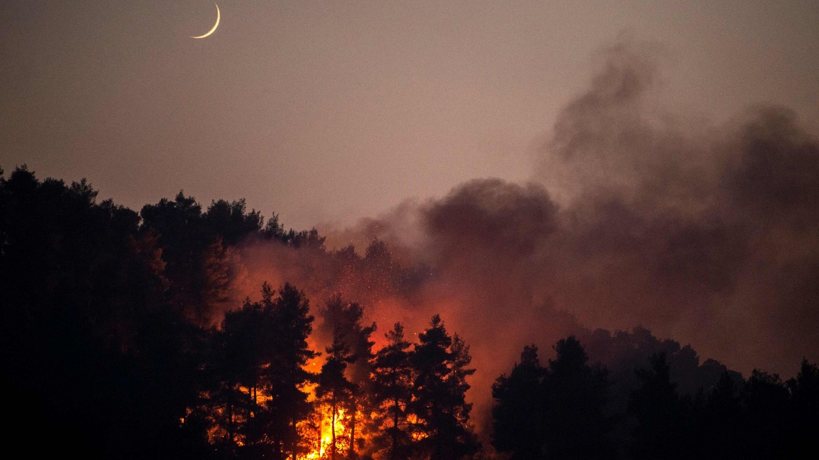 Los incendios siguen causando estragos en el Mediterráneo - Ver ahora