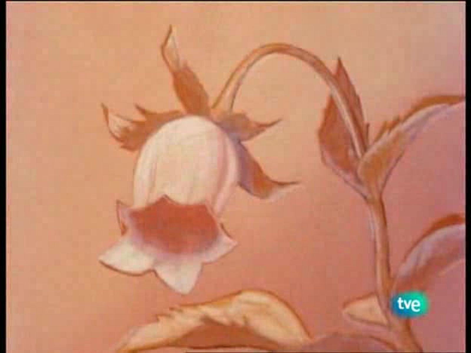 La abeja Maya - La Abeja Maya | Ver