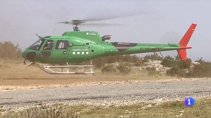 L'Informatiu - L'Informatiu - 12/08/2021