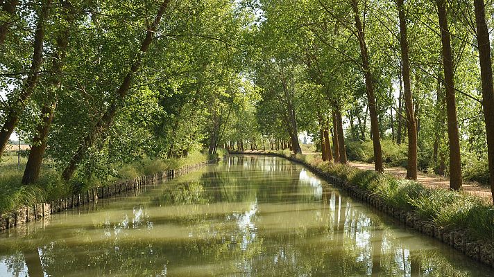 El Canal de Castilla - Ramal del sur