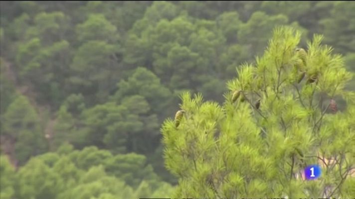 L'informatiu - Comunitat Valenciana - L'Informatiu Comunitat Valenciana 2 - 12/08/21