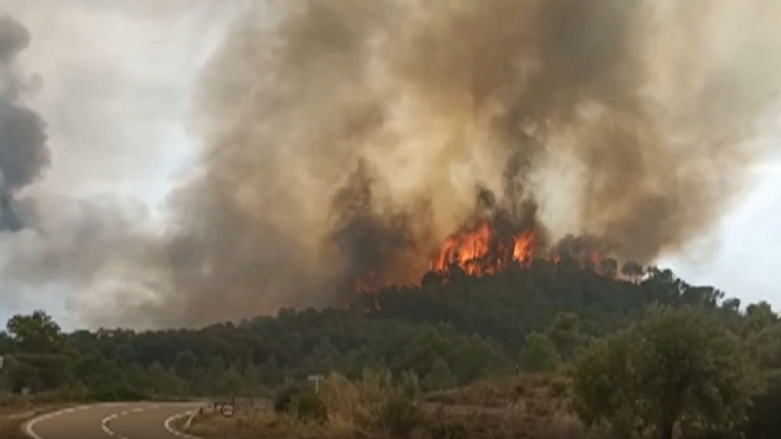 Un incendio en La Pobla de Massaluca, en Tarragona, obliga a evacuar un camping por precaución- RTVE.es | Ver