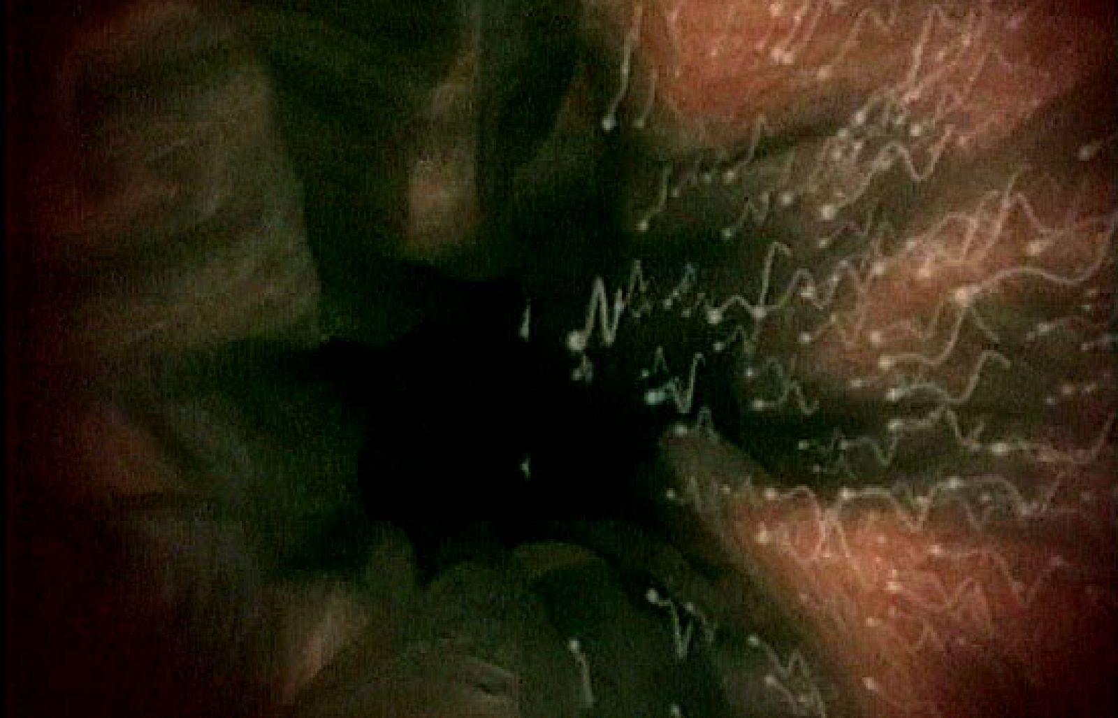 Crónicas - Vidas dormidas, decisiones pendientes - Crónicas | Ver