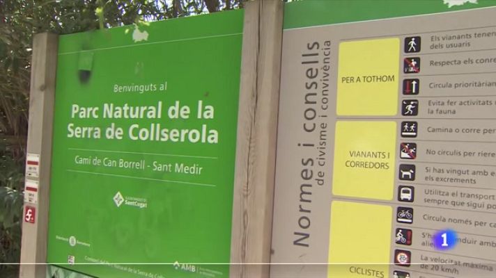 L'Informatiu - L'Informatiu - 15/08/2021