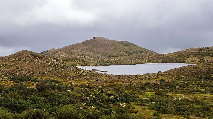 En la Colombia salvaje - La odisea del colibrí