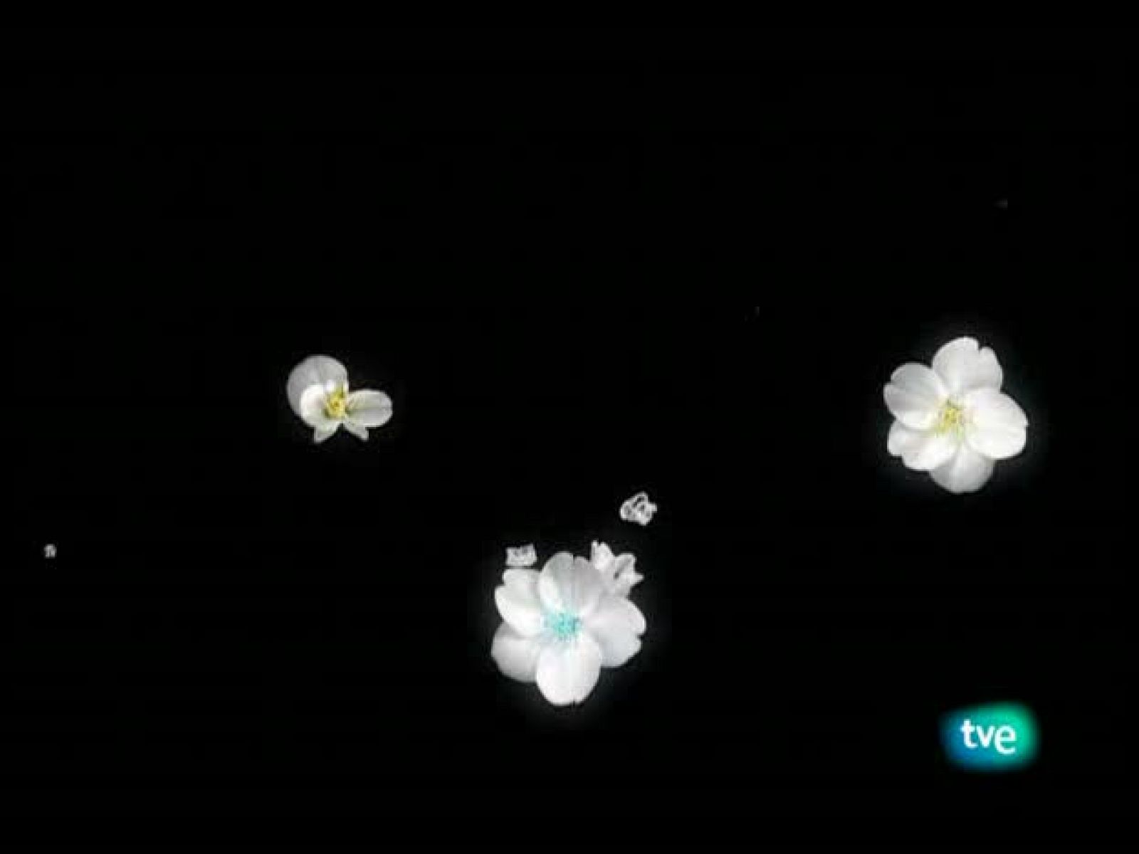 El jardín de los sueños - El Jardín de los Sueños | Ver