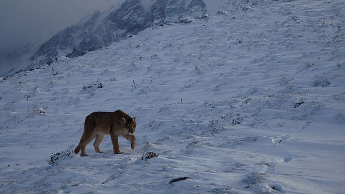 Chile salvaje - Los confines de la Tierra