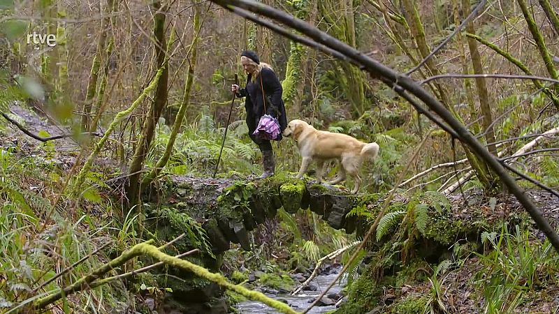 Ruralitas - Programa 4: Joyera (Asturias) y panaderos (Ávila)