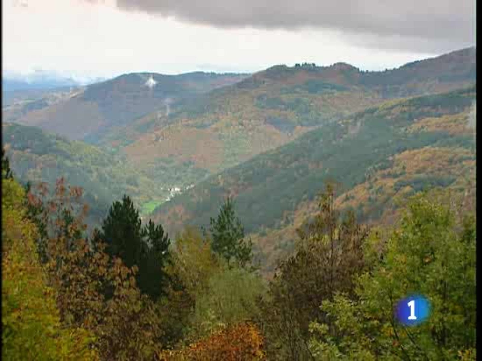 Según un informe de WWF en España hay menos de un 30% de los bosques de los que podría haber | Ver