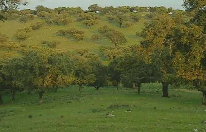 Crónicas - Monfragüe, cerca del paraíso