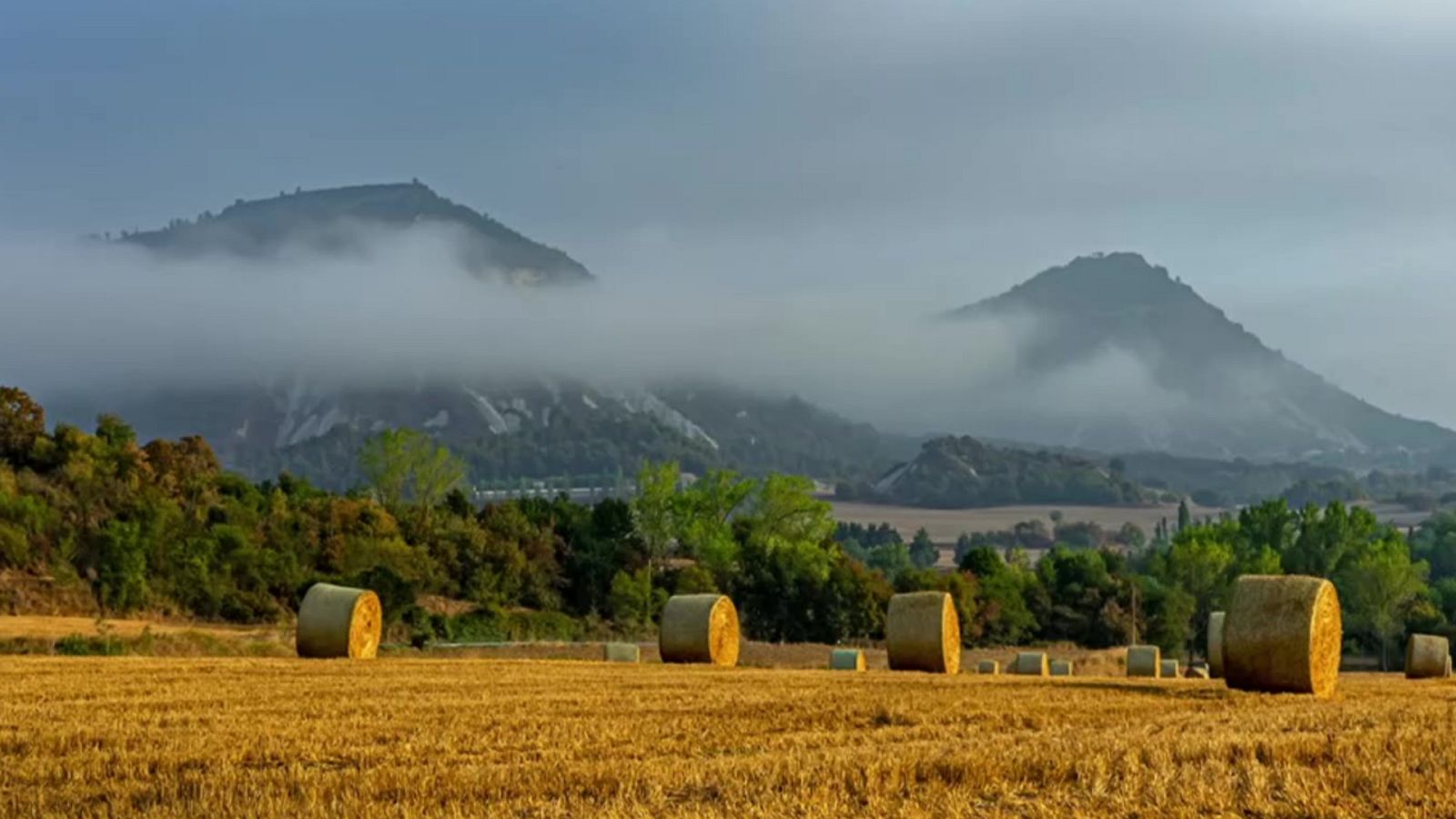 Temperaturas significativamente altas en Gran Canaria y medio Ebro - ver ahora