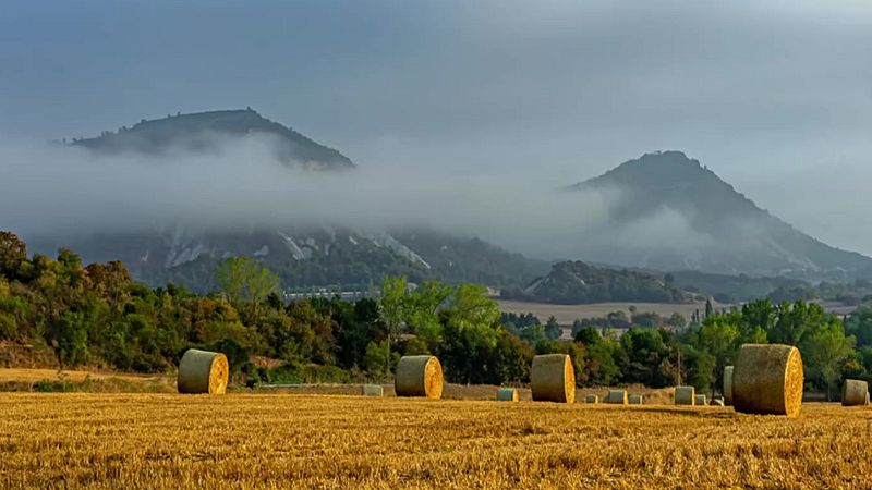 Temperaturas significativamente altas en Gran Canaria y medio Ebro - ver ahora