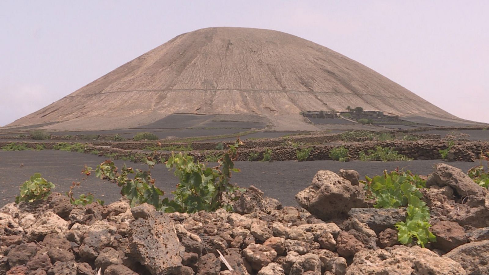 Comando al sol - Veraneo a la española - ver ahora
