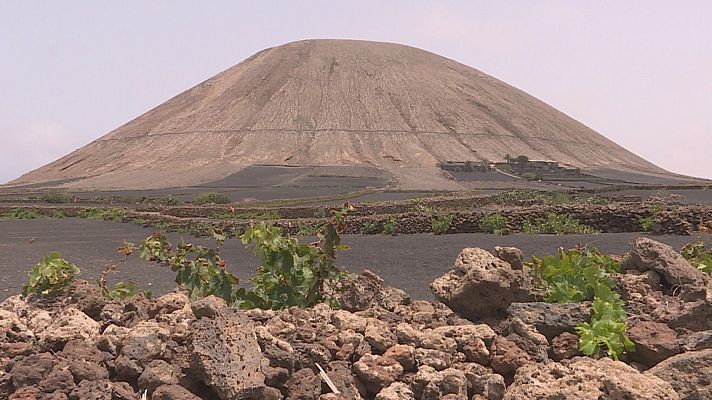 Comando Actualidad - Veraneo a la española