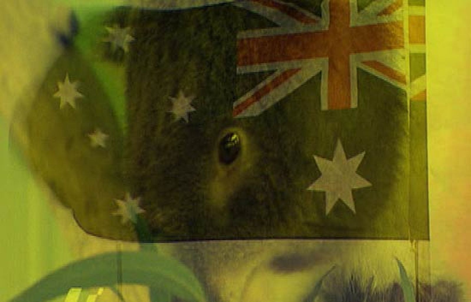 Conoce las características técnicas del cirucito australiano.